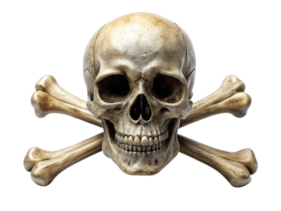 Skull with Crossing Bones Logo 3D PNG Review